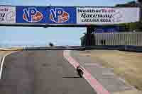 Laguna-Seca;event-digital-images;motorbikes;no-limits;peter-wileman-photography;trackday;trackday-digital-images